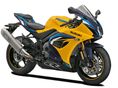 SUZUKI GSX-R 1000