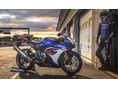 SUZUKI GSX-R 1000
