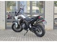 MORBIDELLI T502X