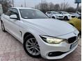 Bmw 420i Advantage 