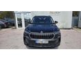 Skoda Kodiaq 2.0 TDI SCR Selection DSG  