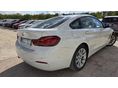 Bmw 420i Advantage 