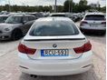 Bmw 420i Advantage 