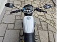 DUCATI SCRAMBLER DS