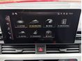 7. kép