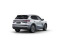 GEELY STARRAY EM-I