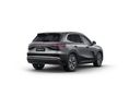 GEELY STARRAY EM-I