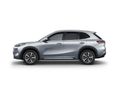 GEELY STARRAY EM-I