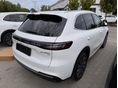 GEELY STARRAY EM-I