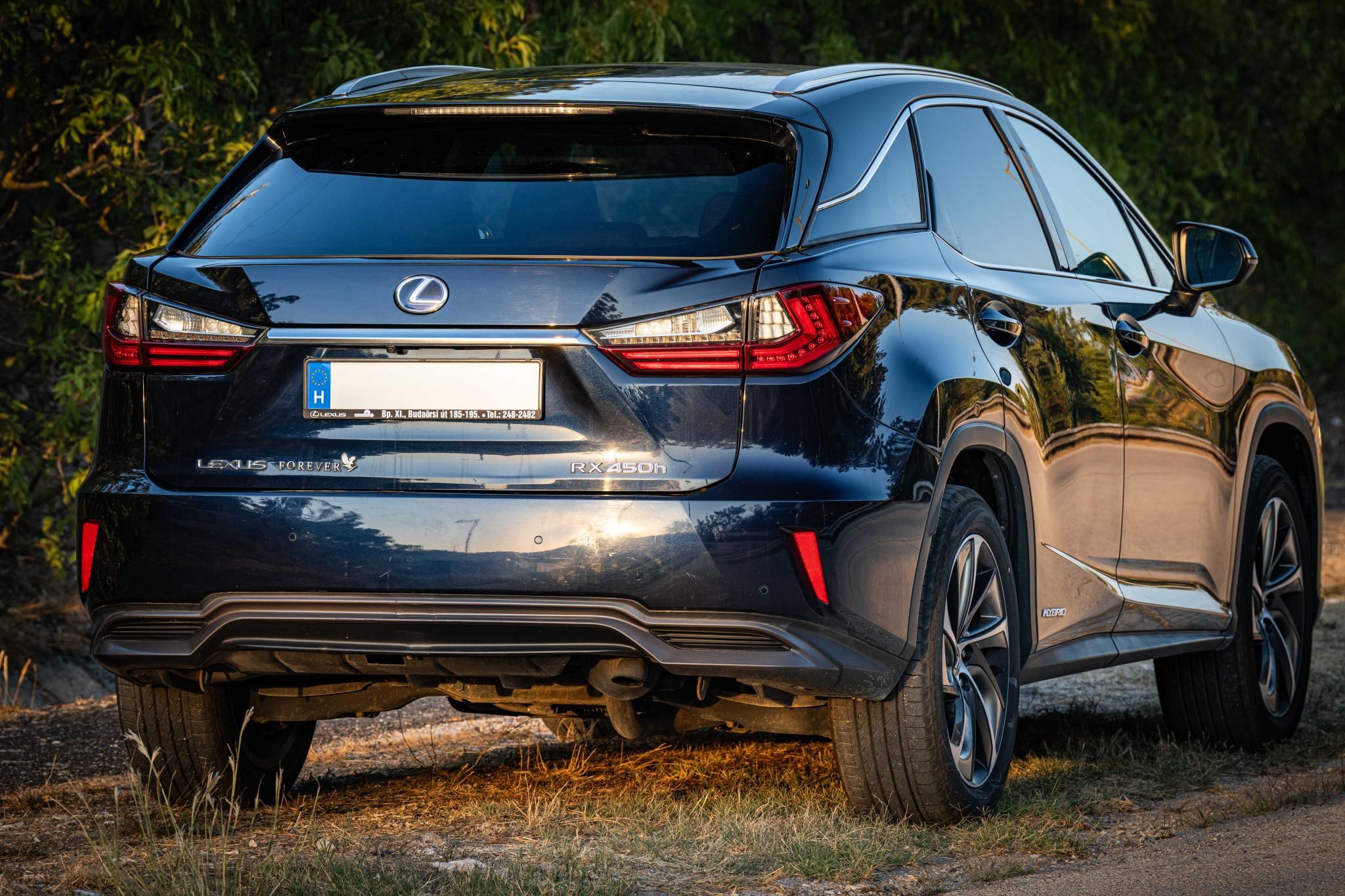 Használt Lexus RX (2016, kék) – 6. kép