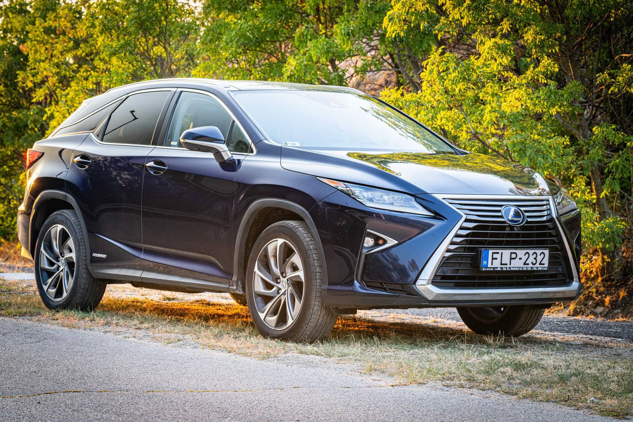 Használt Lexus RX (2016, kék) – 2. kép