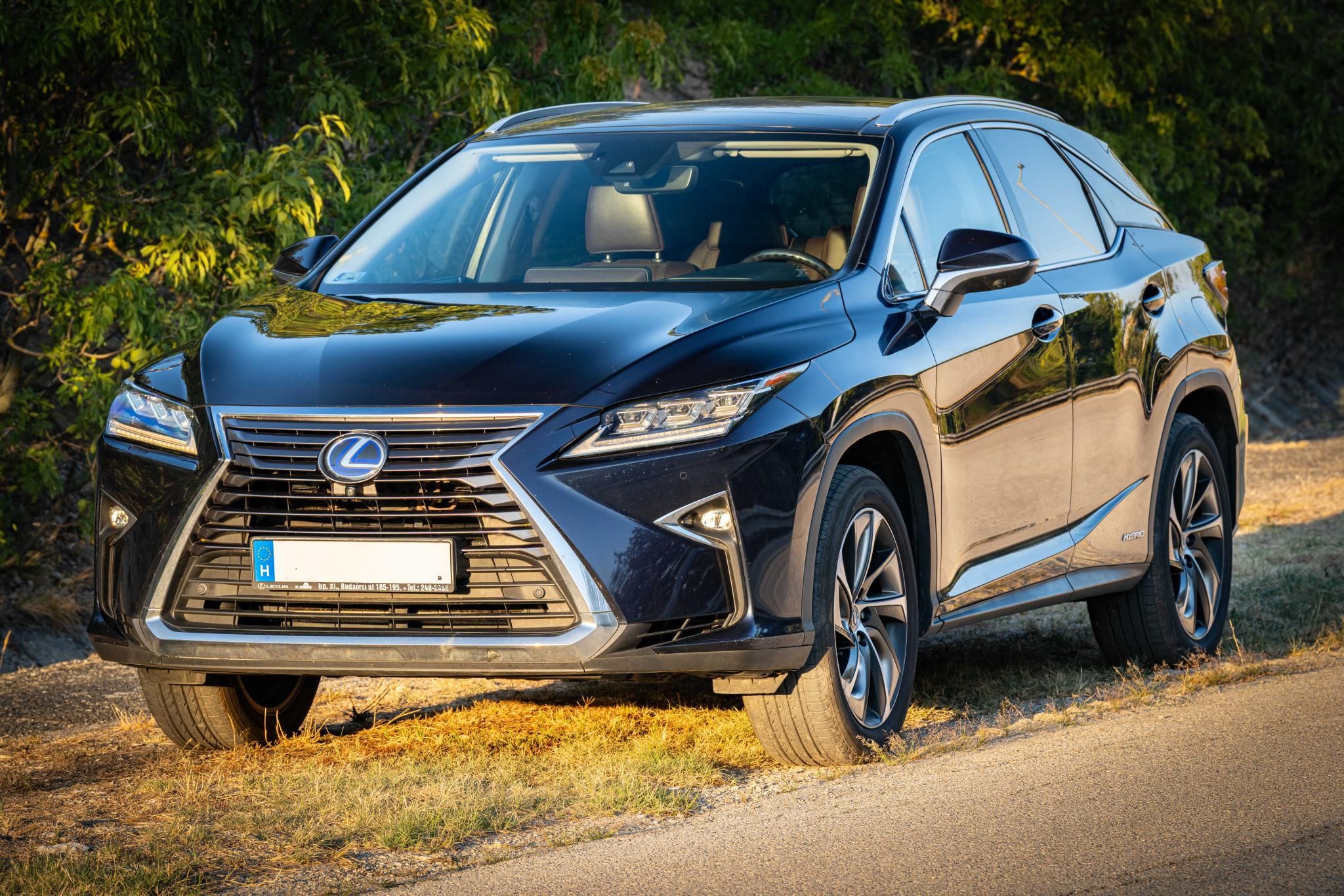 Használt Lexus RX (2016, kék) – 4. kép