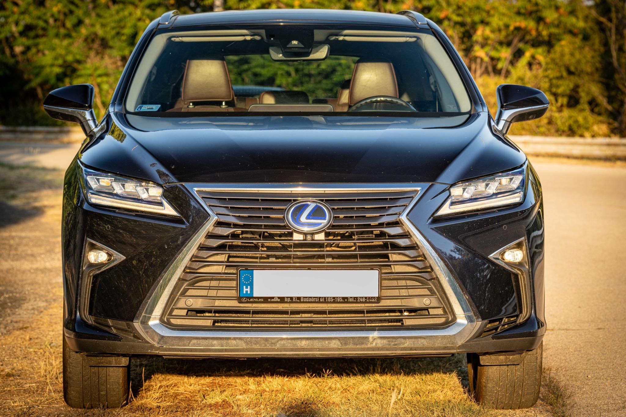 Használt Lexus RX (2016, kék) – 3. kép
