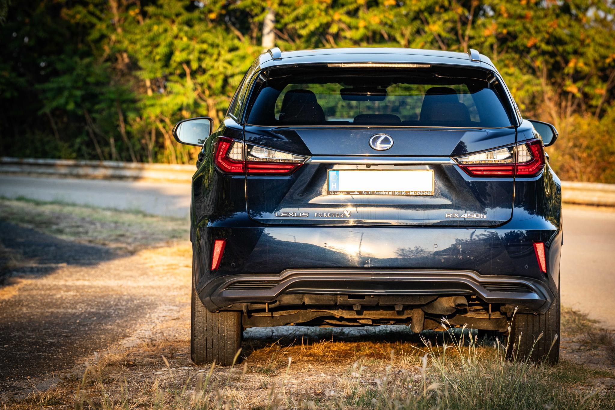 Használt Lexus RX (2016, kék) – 7. kép