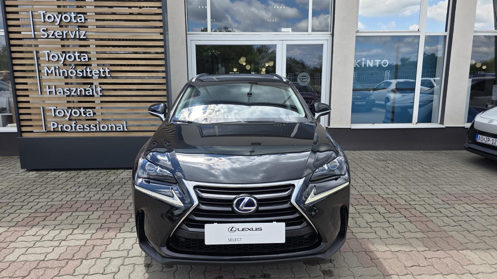 LEXUS NX 300h Executive CVT