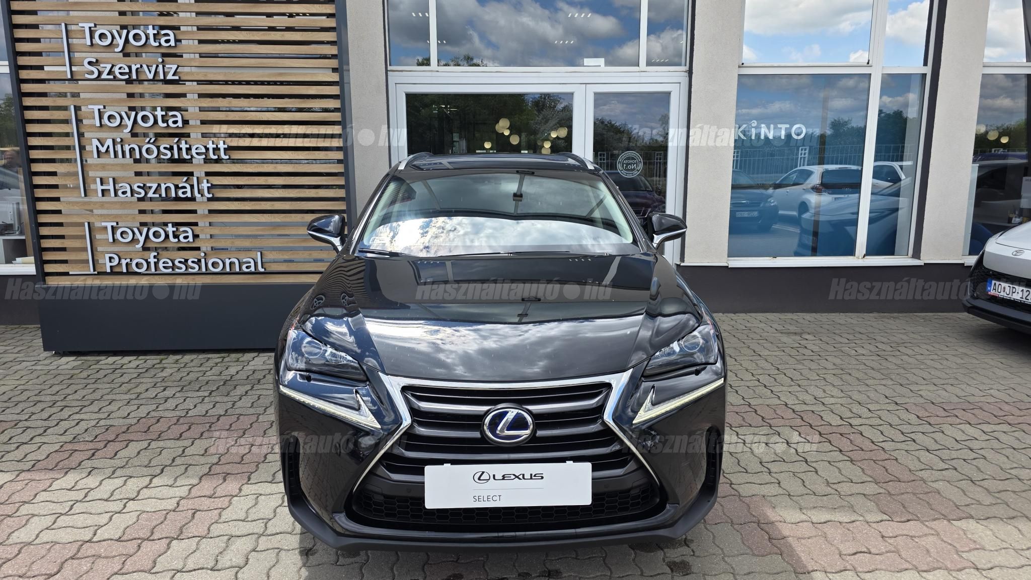 LEXUS NX 300h Executive CVT