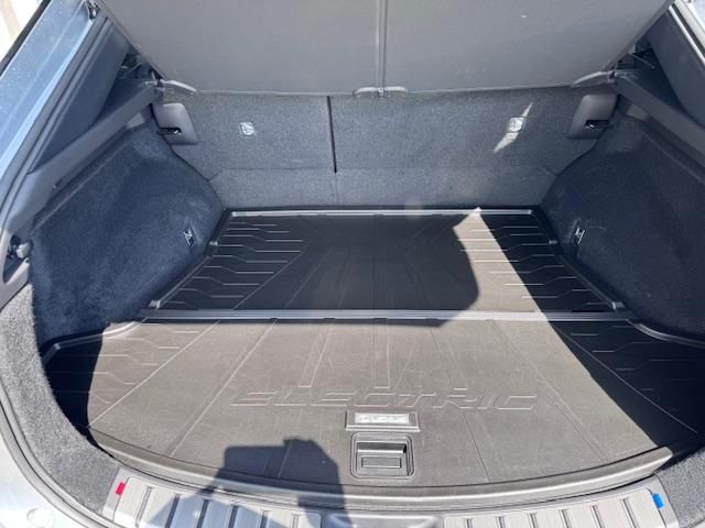 LEXUS RZ 450e Luxury Top