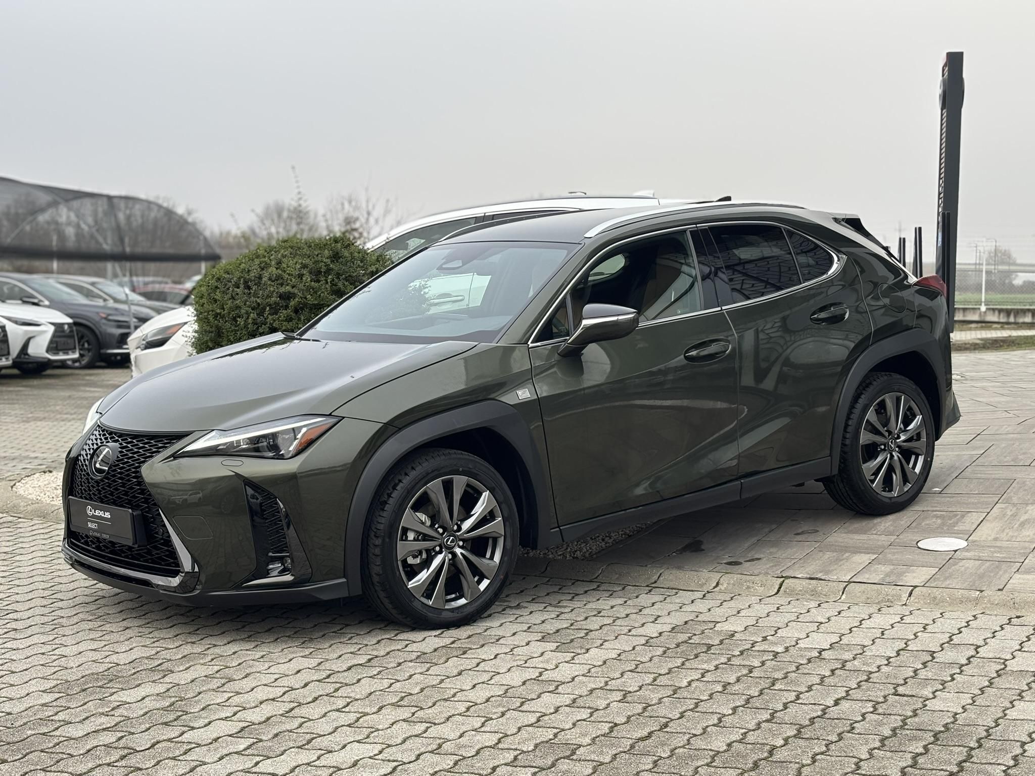 LEXUS UX 300h F Sport Design e-CVT