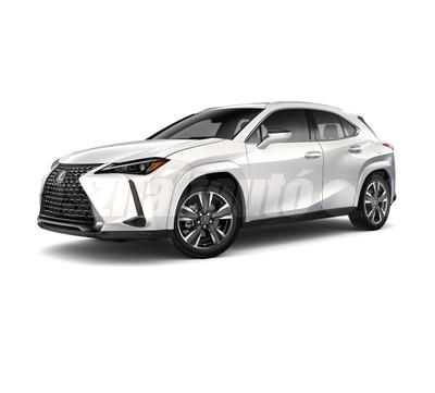 LEXUS UX 300h Business Edition Tech e-CVT