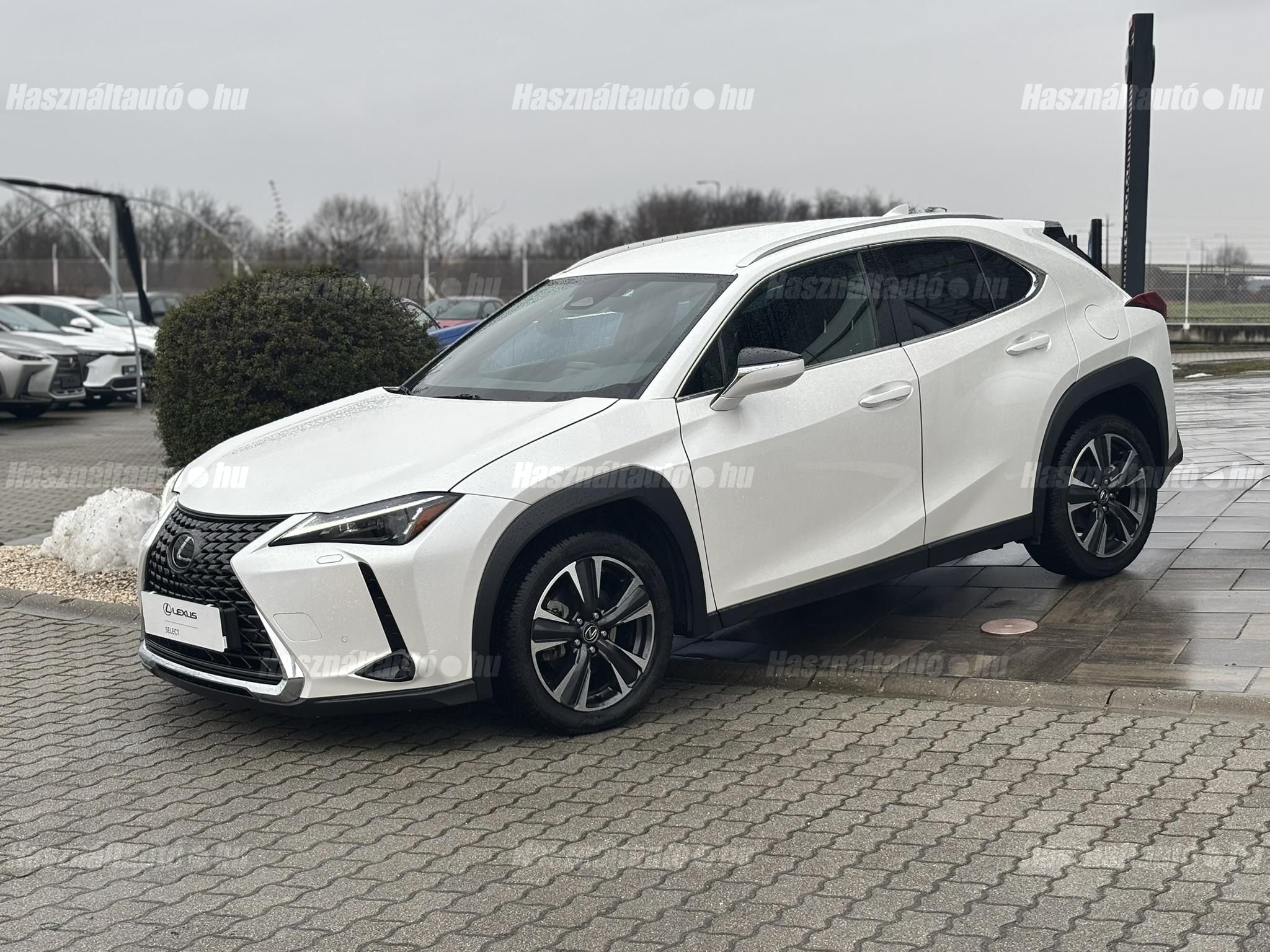 LEXUS UX 300h Business Edition Tech e-CVT