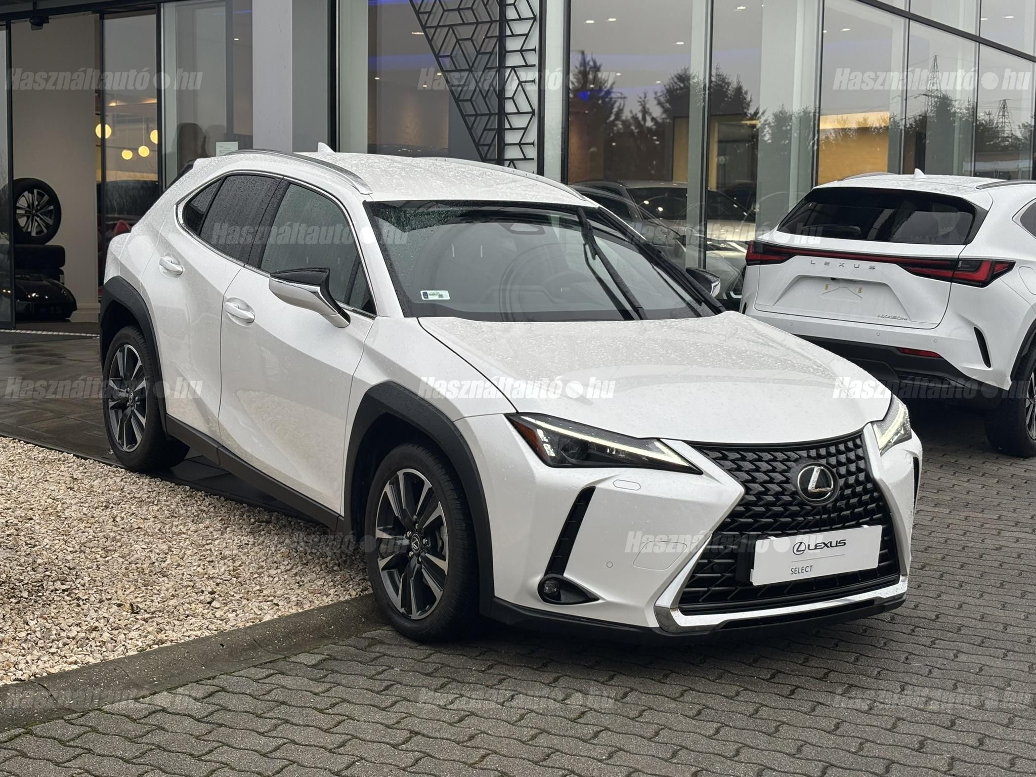 LEXUS UX 300h Business Edition Tech e-CVT