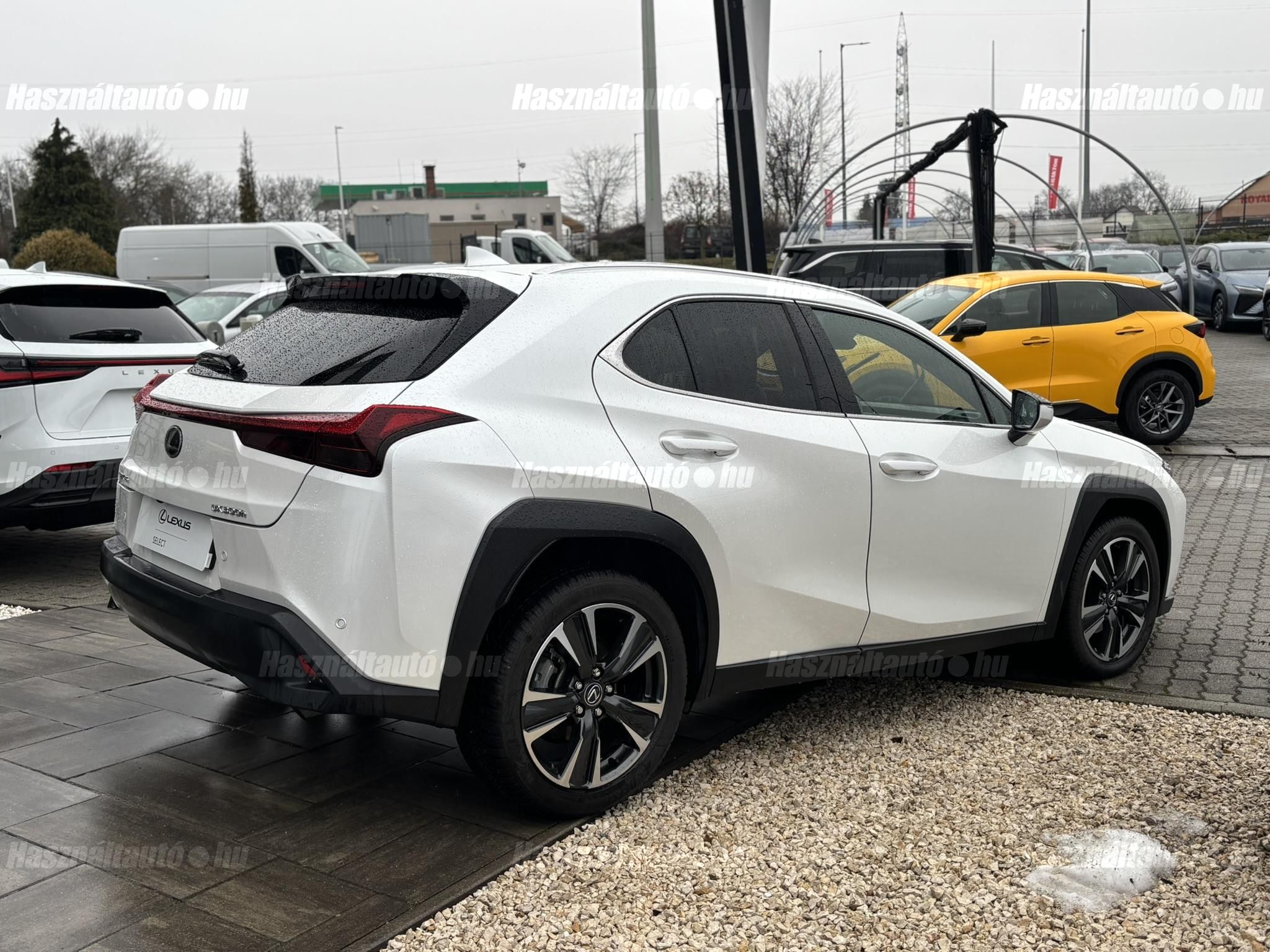 LEXUS UX 300h Business Edition Tech e-CVT
