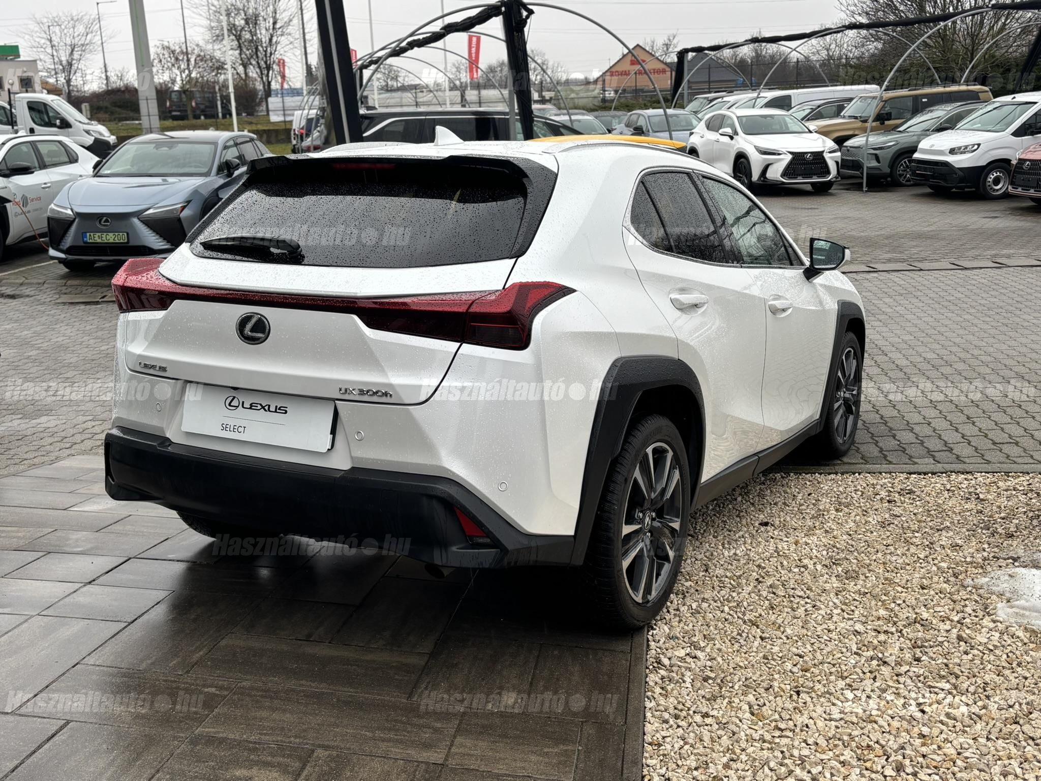 LEXUS UX 300h Business Edition Tech e-CVT