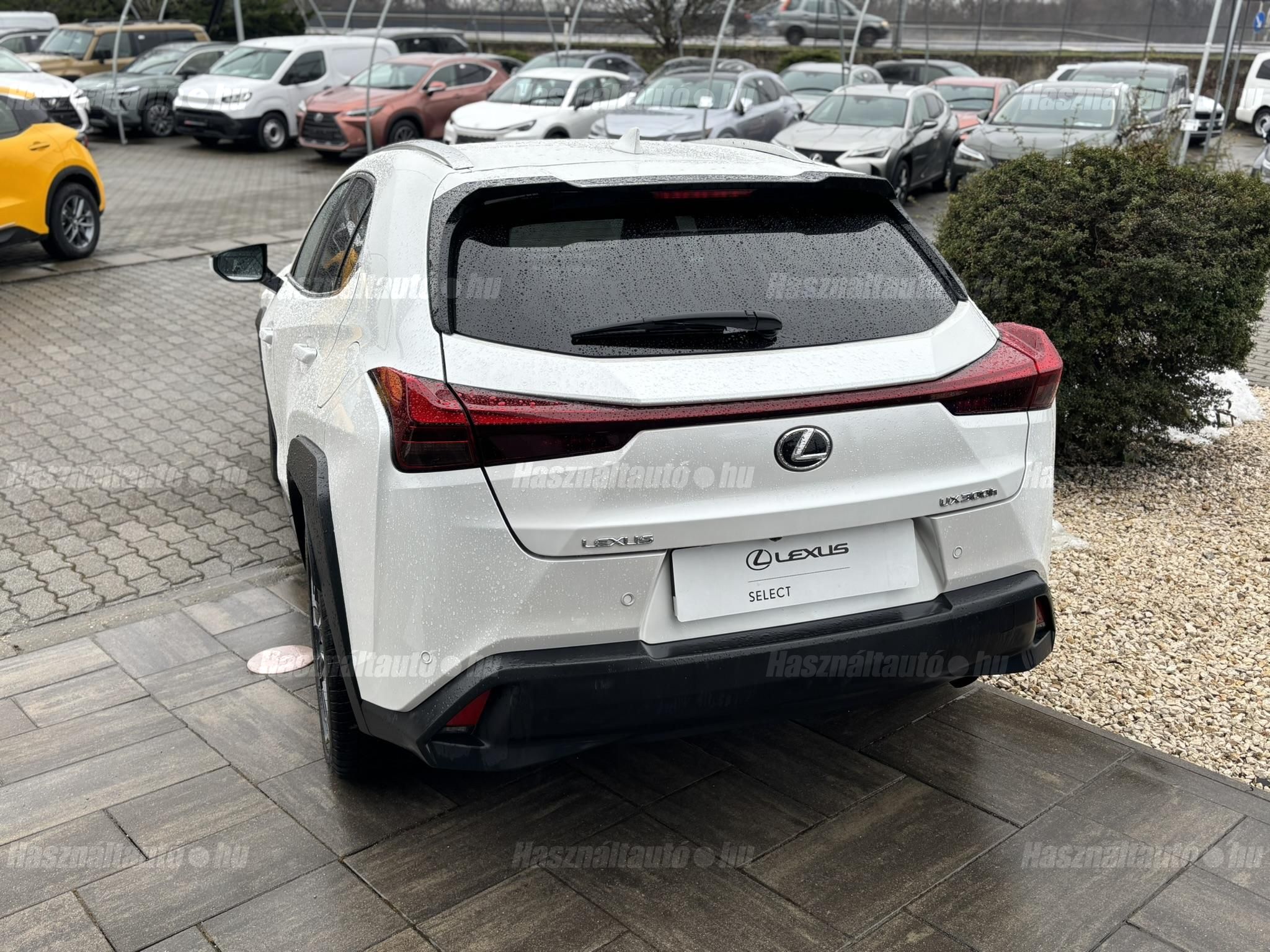LEXUS UX 300h Business Edition Tech e-CVT