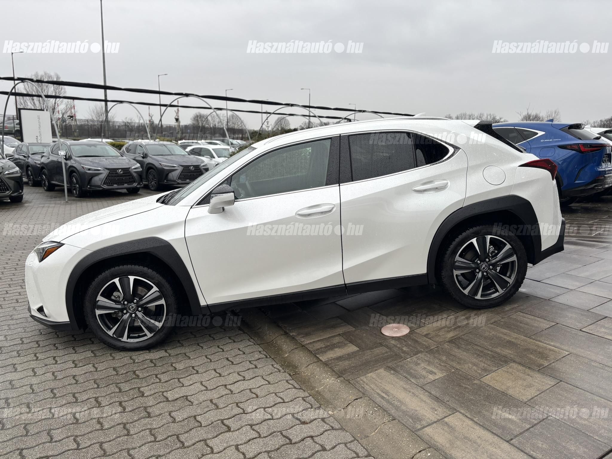 LEXUS UX 300h Business Edition Tech e-CVT