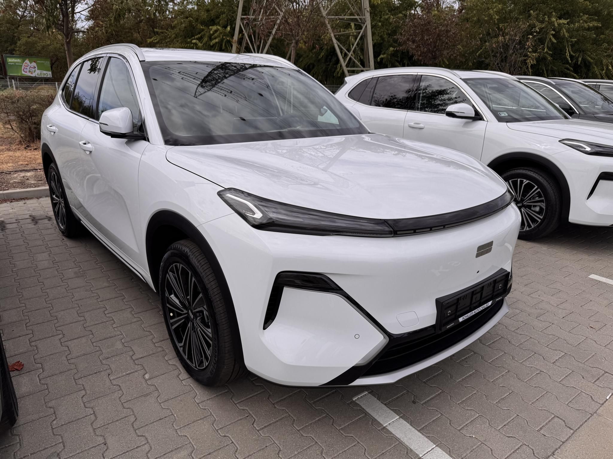 GEELY STARRAY EM-I