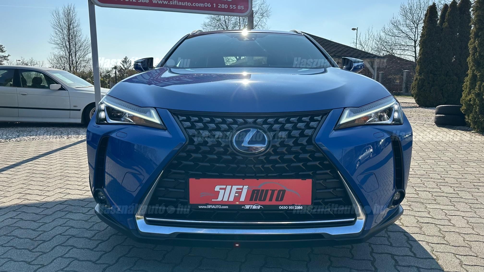 LEXUS UX 300e Luxury
